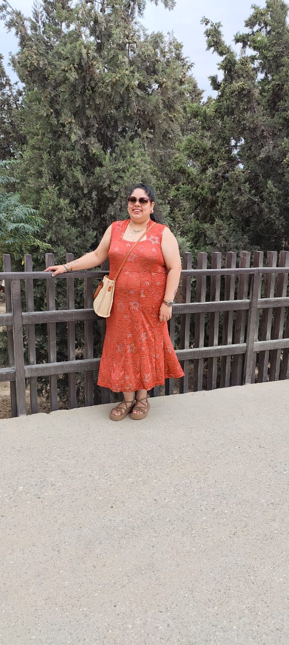 Rust Silver Fishcut Partywear Midi Dress