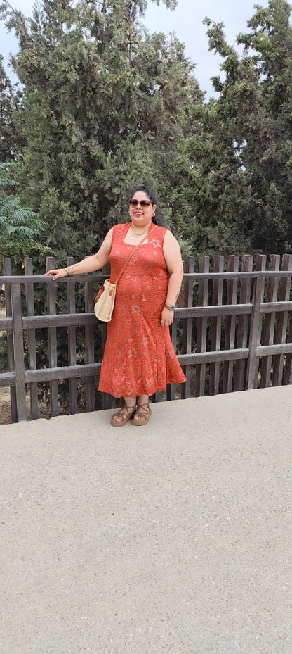 Rust Silver Fishcut Dress